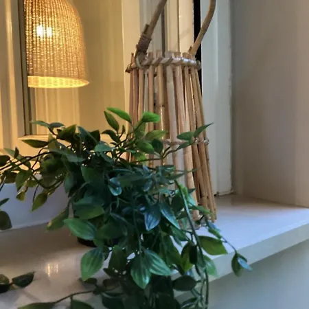 Casita * Дассия