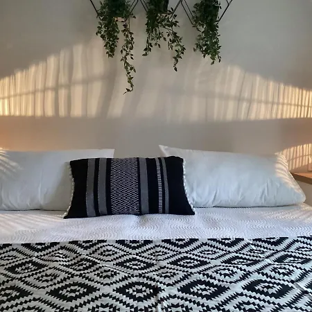 Casita * Дассия